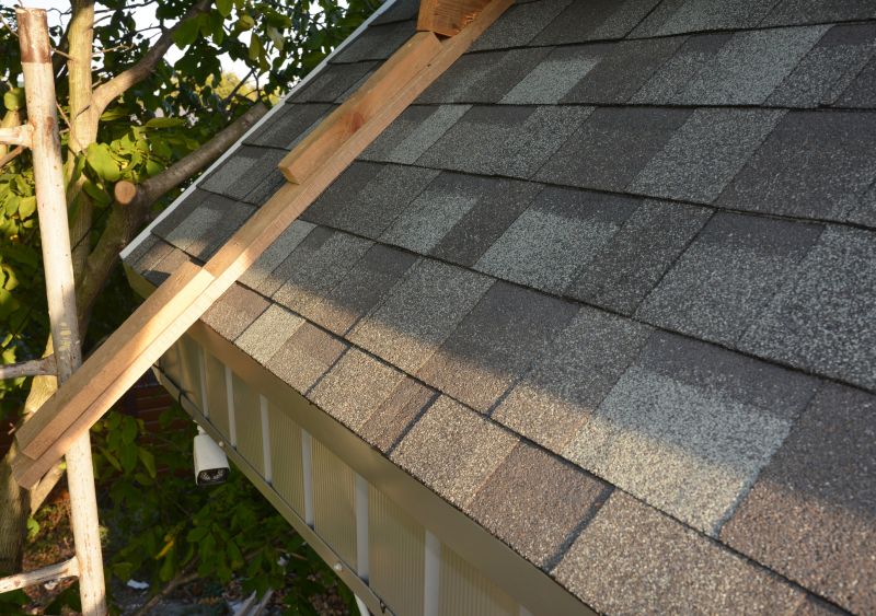 Shingle Repair detail